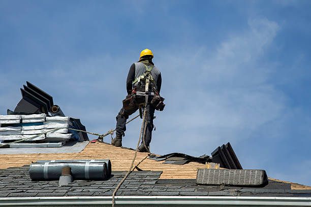 Professional Storm Damage Roof Repair technician working in Blair, WI